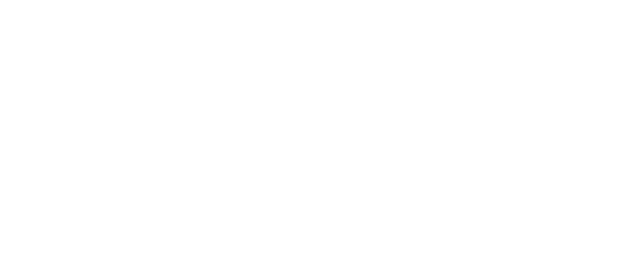 Subit Logo all white